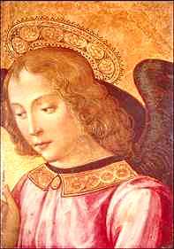 Angel head by Botticelli